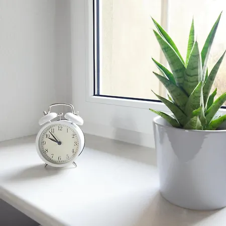 Gruenderzeitwohnung Unweit Der Altstadt Apartment Erfurt